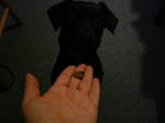 02.2006 101.jpg