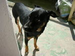 04.2006 059.jpg